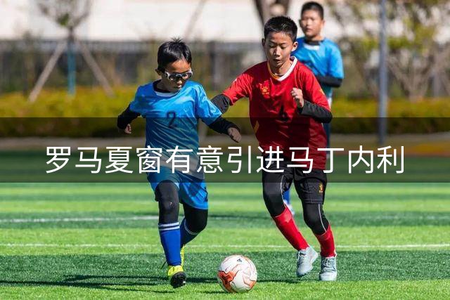 罗马夏窗有意引进马丁内利